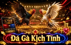 Sảnh đá gà livealivethrive